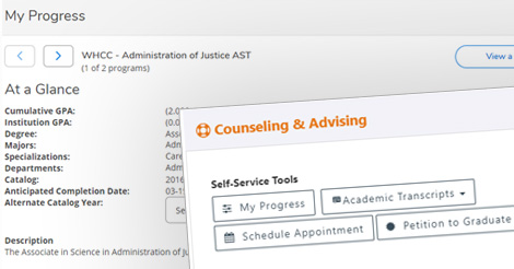 Counseling and Advising Assistance